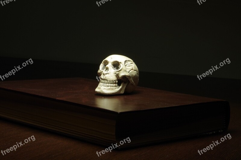 Paper Skull Mystery Paperweight Free Photos