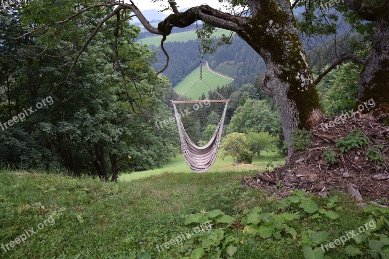 Hammock Vacations Forest Meadow Green