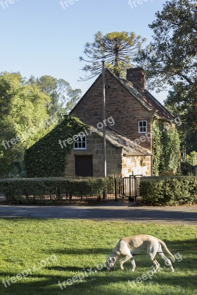 Cottage Landscape Dog Nature Summer