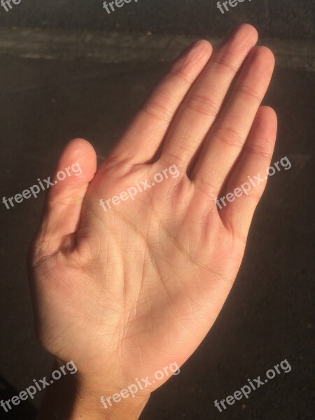 Palm Hand Finger Bleaching Palm Reading