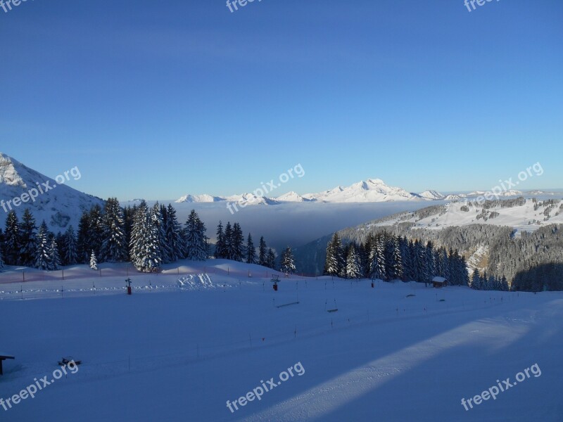 Skiing Piste Winter Snow Ski