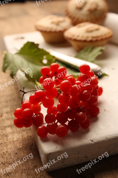 Redcurrant Mince Pie Christmas Free Photos