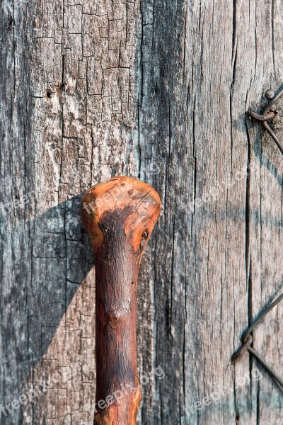 Stick Wood Natural Wooden Brown