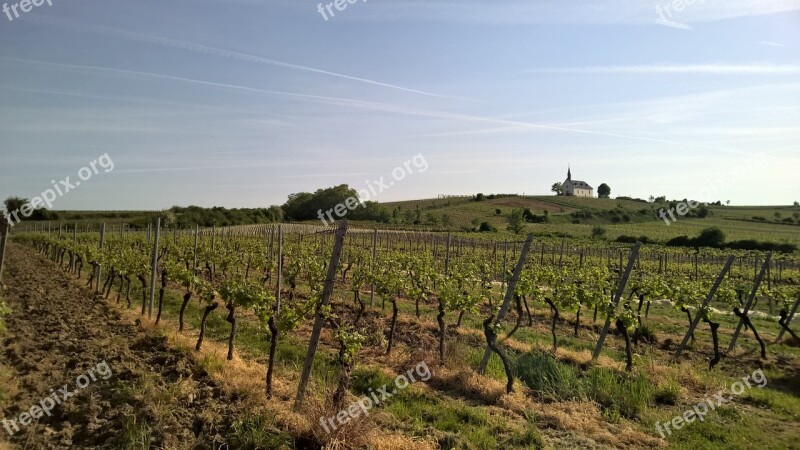 Germany Sachsen Rheinhessen Wonnegau Osthofen