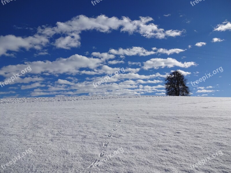 Natural Monument Winter Mood Magnificent Weather Trails Snow