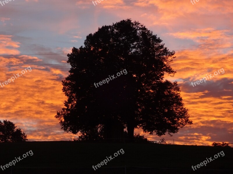 Natural Monument Morgenstimmung Red Sky Free Photos