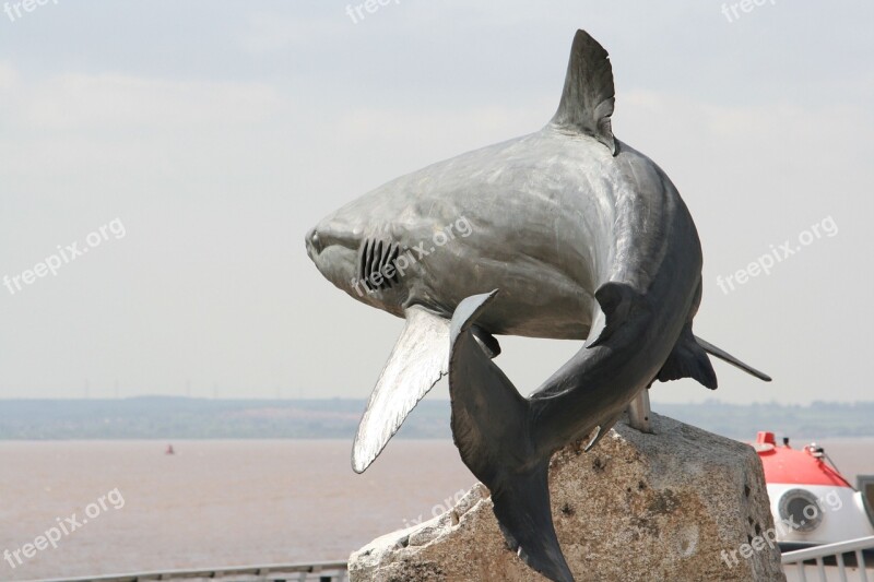 Grey Reef Shark Sculpture Shark Fish Animal