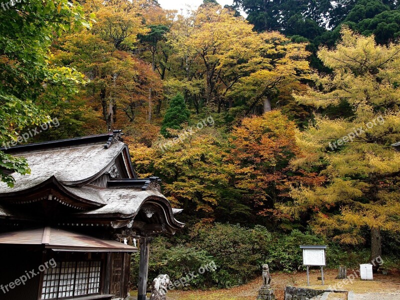 Japanese Wood Tottori Mountains Free Photos