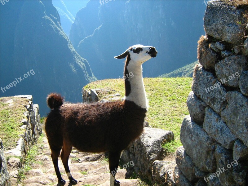 Cusco Machu Picchu Flame Peru Free Photos