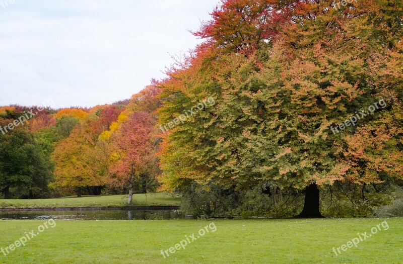 Park Foliage Trees Autumn Fall