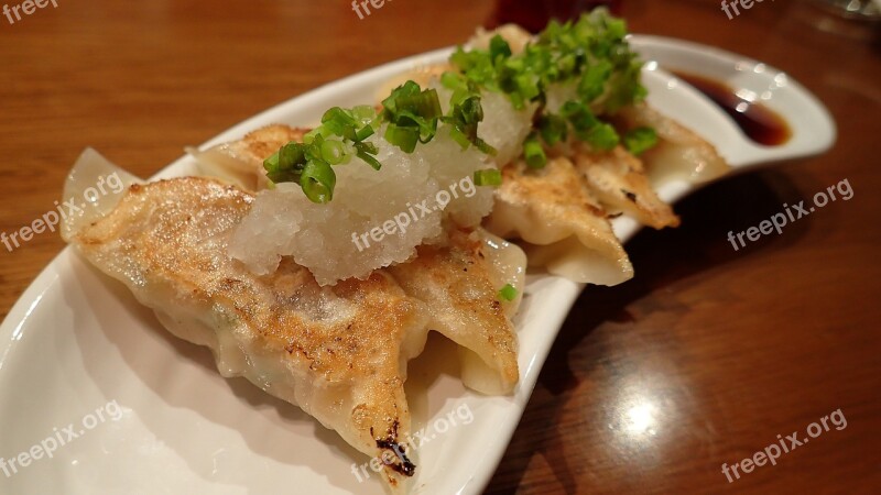 Food Dumpling Fried Asian Food Japanese Food