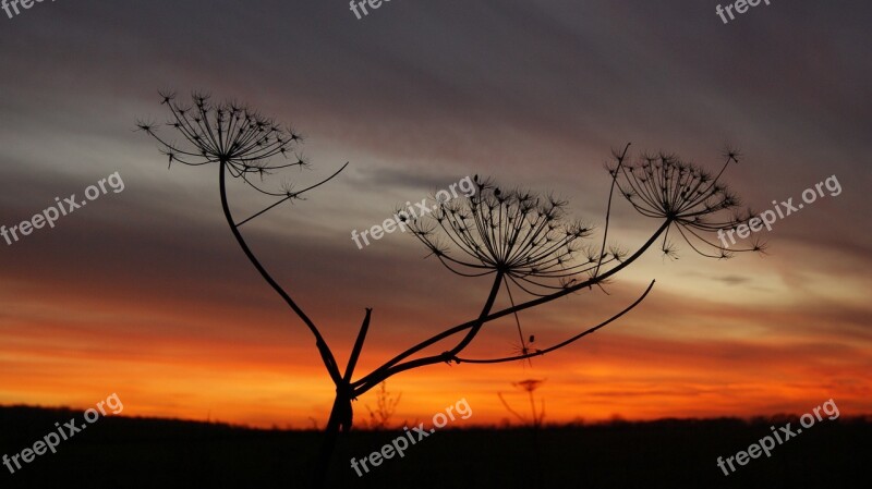 Nature Landscape Sunset Sky Twilight