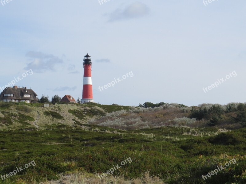 Lighthouse Sylt Hörnum Heide Free Photos