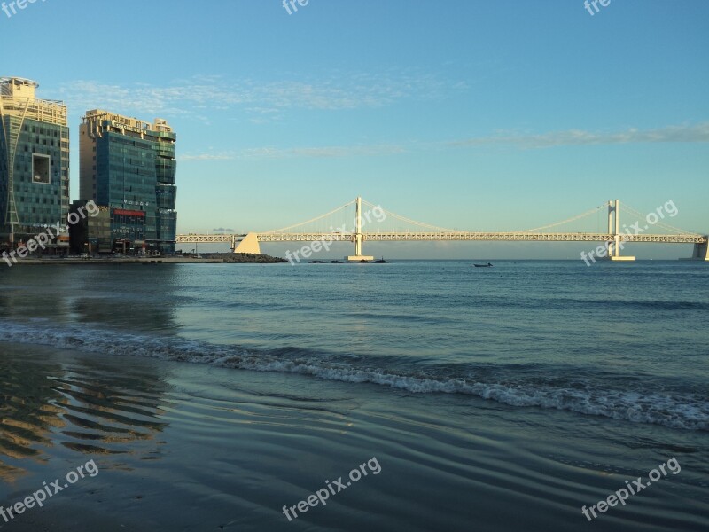 Beach Bridge Busan Free Photos