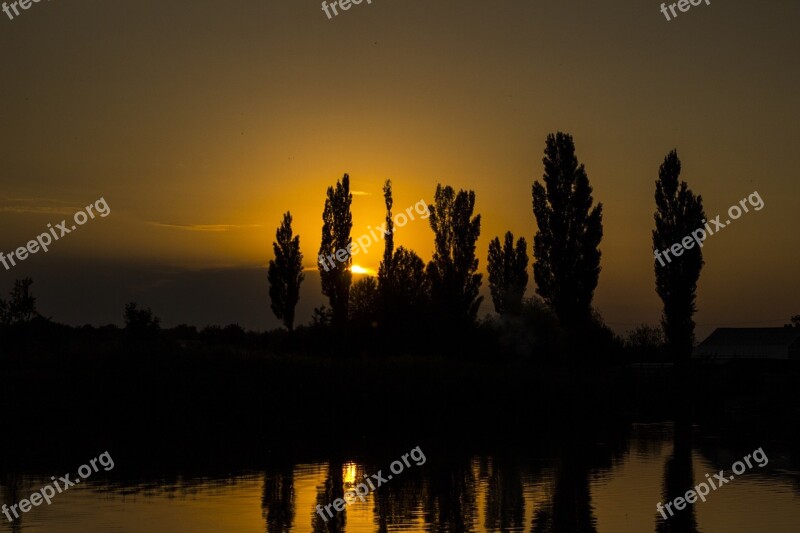 Lake Reflection Sunset Tree Silhouette