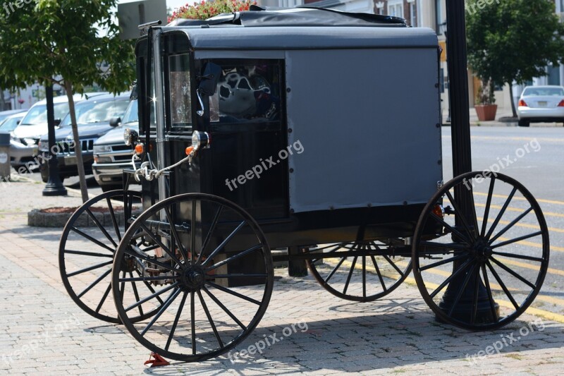 Amish Carriage Horse Buggy Rural