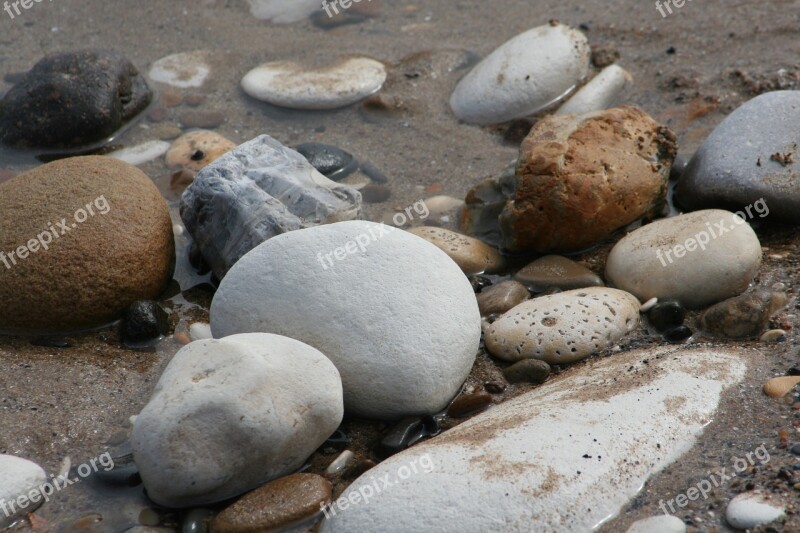 Pebbles Stones Beach Bridlington Nature