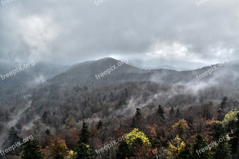 Landscape Fog Nature Forest Forest Landscape