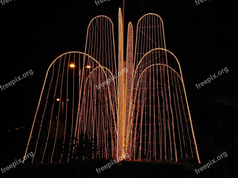 Neon Sign Lights Night Light Fountain Free Photos