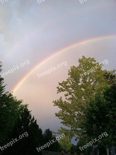 Rainbow Sky Trees Rainbow Sky Landscape