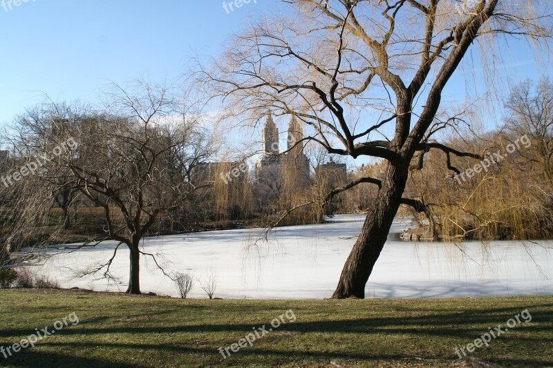 Central Park New York Winter Free Photos