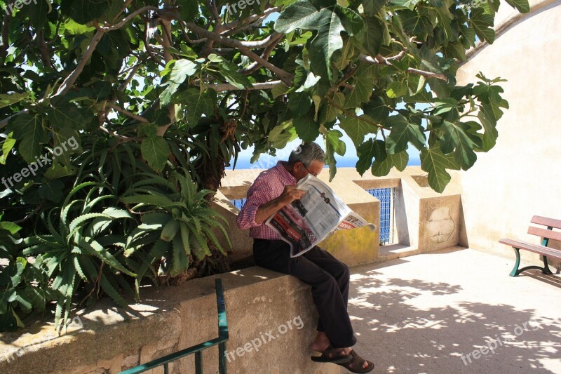 Old Man Tree Shadow Read Newspaper Morning