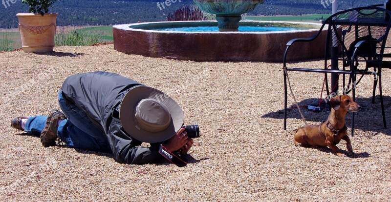 Dachshund Funny Tourist Photographer Love For Animals