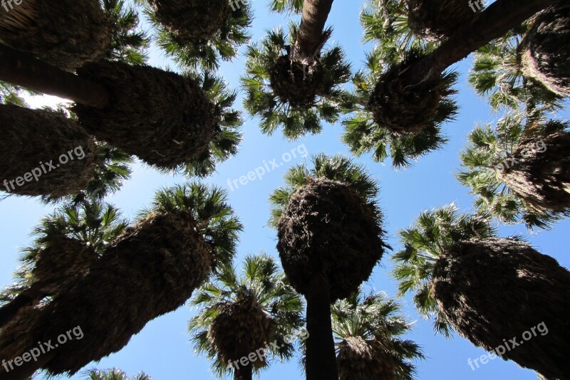 Palm Springs Palm Dessert Palm Desert City Air