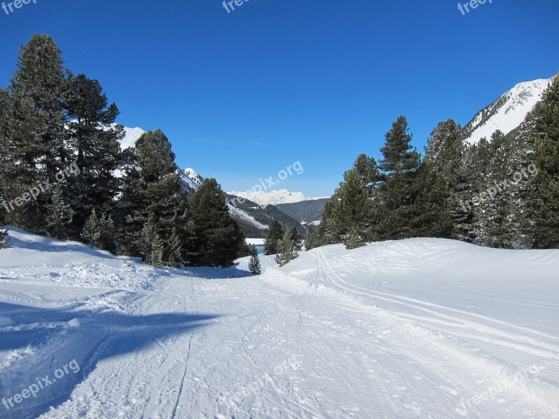 Snow Winter Ski Trail Landscape Conifer