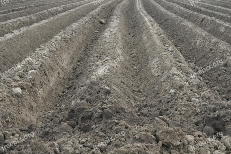 Field Orka Soil The Cultivation Of Agriculture