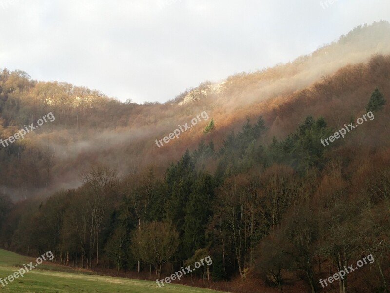 Autumn Fog Forest Mood Landscape