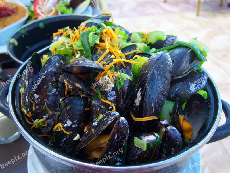 Mussels Flat Kitchen Netherlands Food