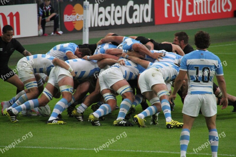 Rugby Players World Cup Stadium