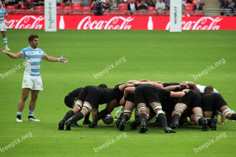 Rugby Players World Cup Stadium