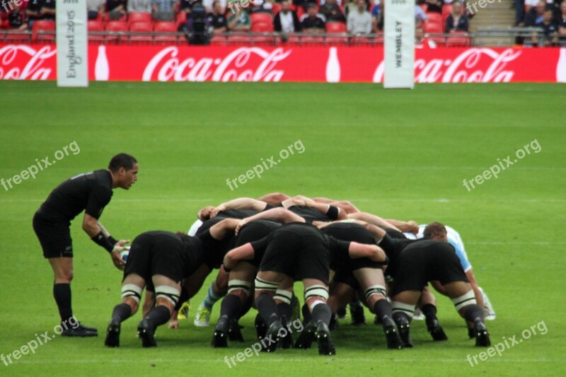 Rugby Players World Cup Stadium