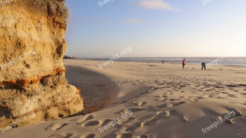 Sand Dune Sea Usa Waldport