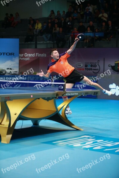 Table Tennis Ping Pong Passion Free Photos