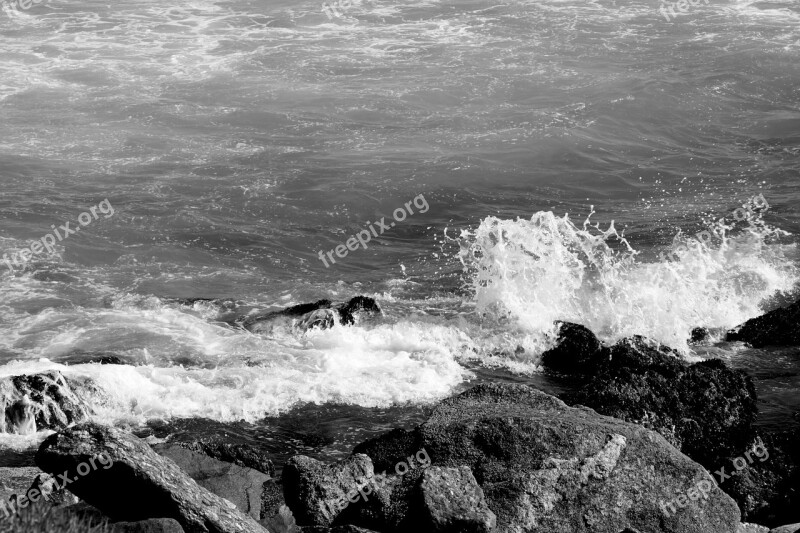 Wave Mar Stone Water Beach