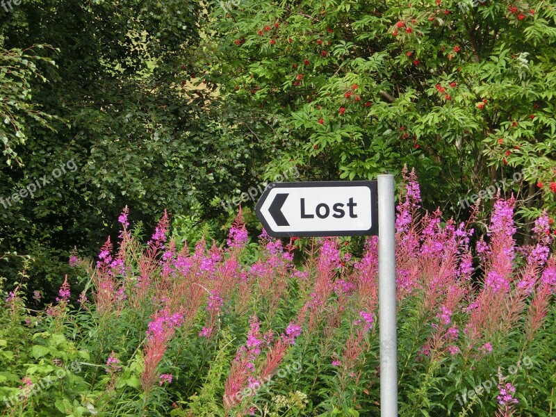 Directory Lost Arrow Lose Free Photos