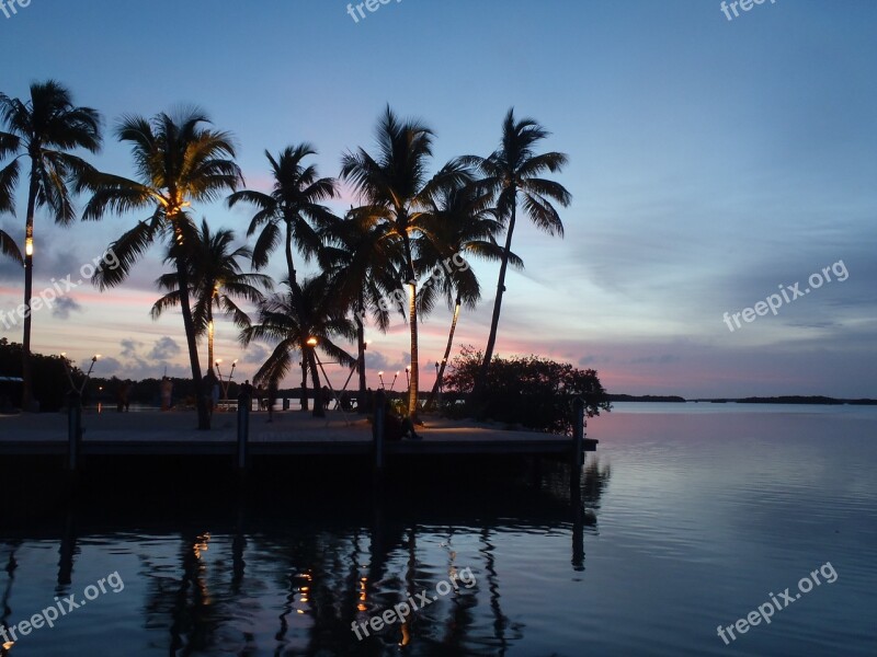 Palm Trees Silhouette Sunset Events Florida