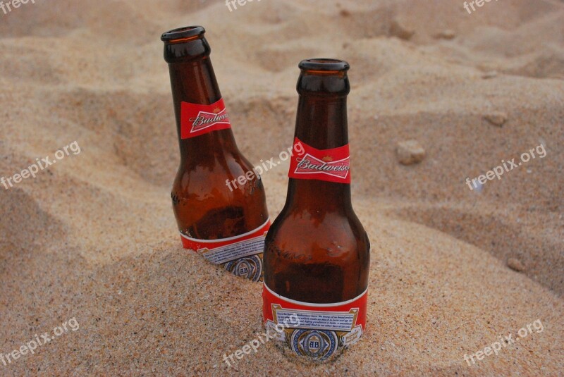 Beer Sand Alcohol Friendship Free Photos