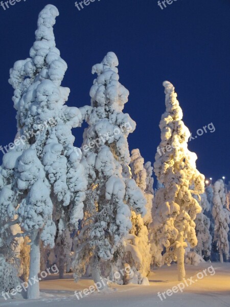 Finnish Winter Snow Frost Nature