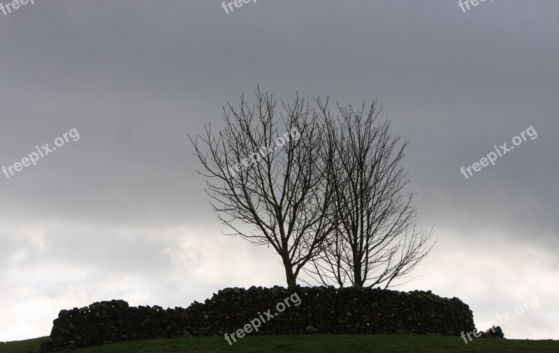 Trees Silhouette Winter Tree Silhouette Sky