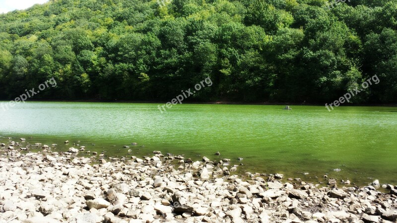 Giuffrida Park Connecticut Nature Green Water Landscape