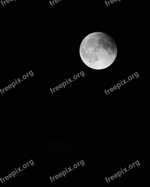 Moon Supermoon Night Free Photos