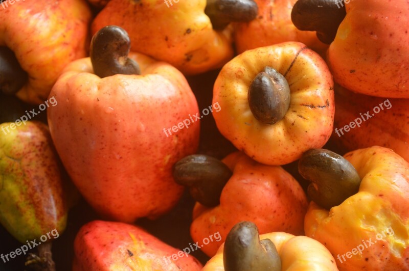 Fruits Cashew Apple Food Organic Tropical