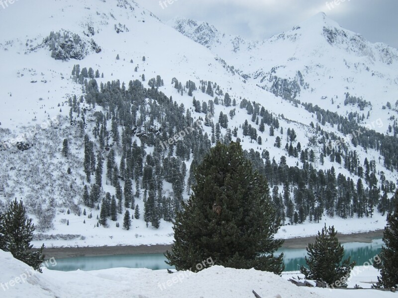 Snow Winter Forest Trees Nature