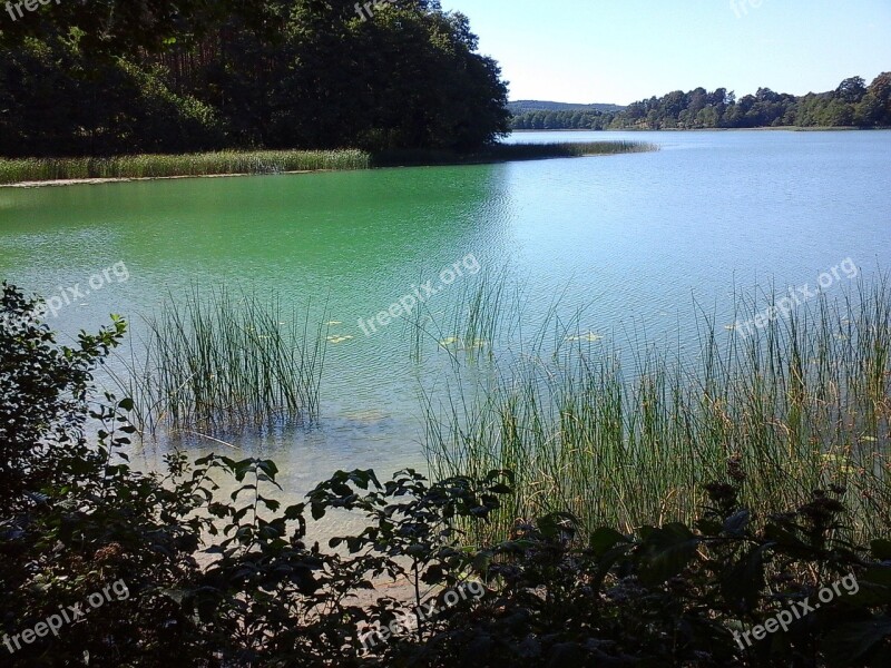 Lake Szurpiły Suwałki Region Free Photos