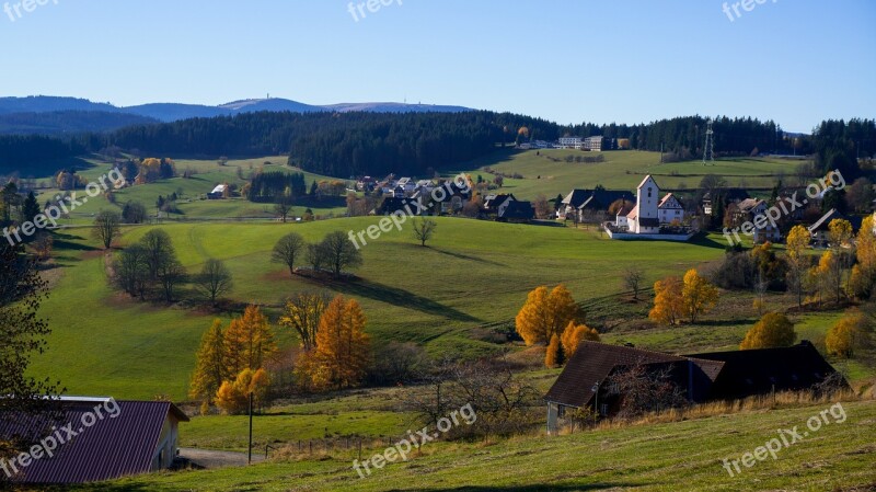 Black Forest Feldberg View Box Hill Tower Firs