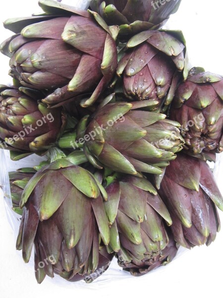 Artichokes Vegetables Antioxidants Anti Aging Food